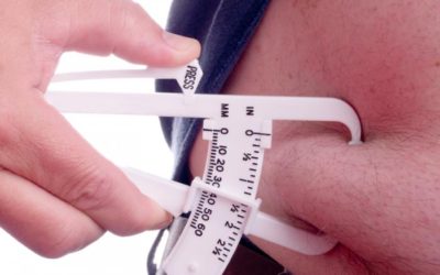 Fat Cells 200: How Our Bodies Use Fat