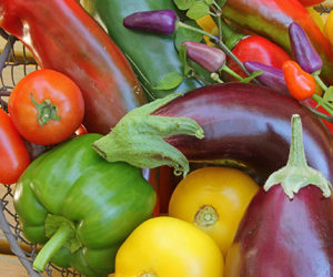 Learning About Nightshade Vegetables and Fruits