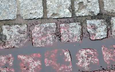 The Pain of Being Black