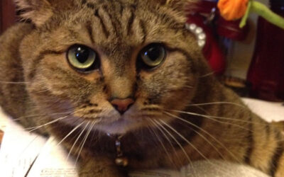 There Are Things You Just Do