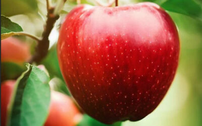 When Christ’s Name Is On Something It Should Mean Something