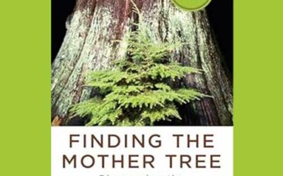 Book Review: Finding the Mother Tree Discovering the Wisdom of the Forest by Suzanne Simard
