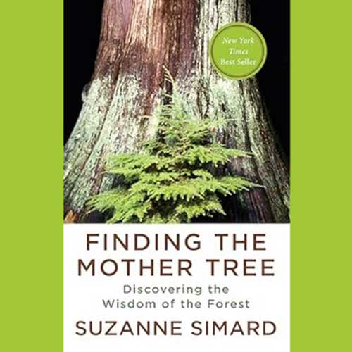 Finding the Mother Tree Discovering the Wisdom of the Forest by Suzanne Simard