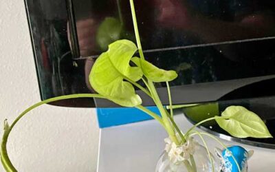 I Know God is Carrying Me