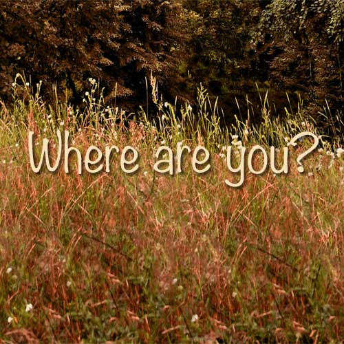 I Don’t Know Where You Are Sometimes