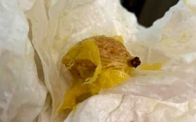 We Enjoyed Each Other