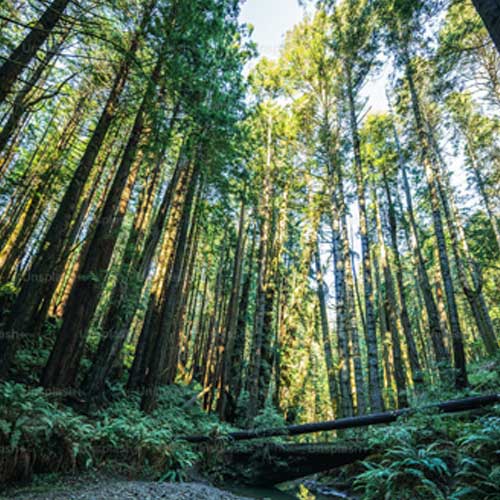 Being Brave is Like Breathing