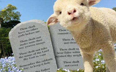 Illegal Aliens are the New Blacks