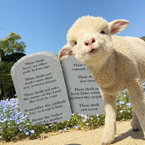 Illegal Aliens are the New Blacks