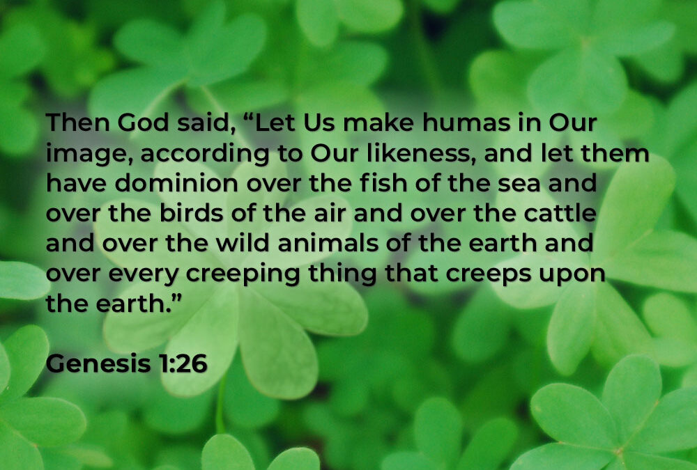 Because They Love You