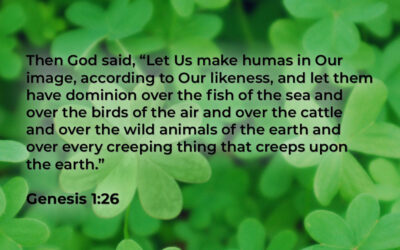 Because They Love You